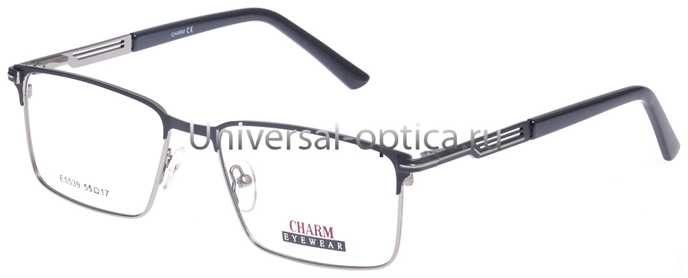 Оправа металлическая Charm/Шарм E5539 c. 1 от Торгового дома Универсал || universal-optica.ru
