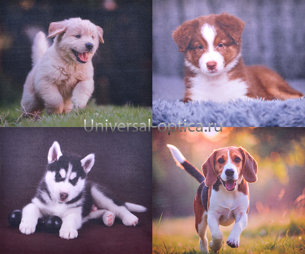 Салфетка из MF "УНИВЕРСАЛ" в индивидуальной упаковке (4шт.) Милые животные-3 (15*18см) от Торгового дома Универсал || universal-optica.ru