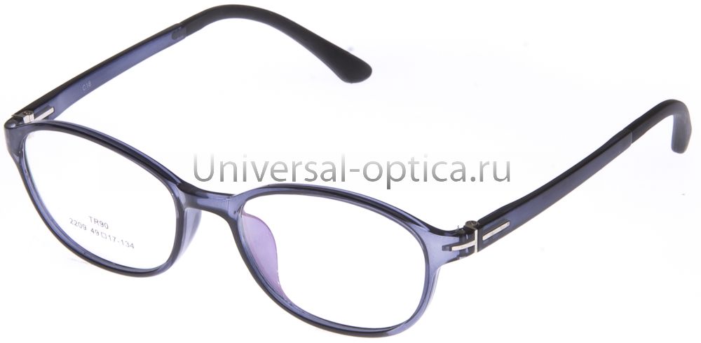 Оправа полимерная (TR-T) 2209 col. 18 от Торгового дома Универсал || universal-optica.ru