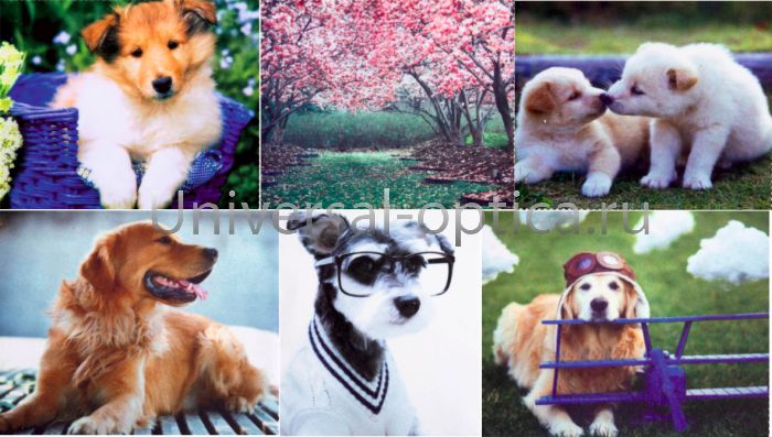 Салфетка из MF № 3 "Fantastic Cloth" в индивидуальной упаковке (ассортимент) от Торгового дома Универсал || universal-optica.ru