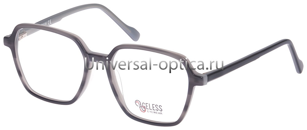 Оправа полимерная AGELESS 510679 c. XC04 от Торгового дома Универсал || universal-optica.ru