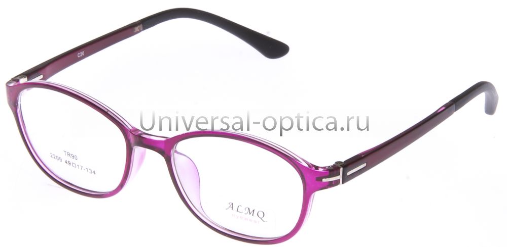 Оправа полимерная (TR-T) 2209 c. 20 от Торгового дома Универсал || universal-optica.ru
