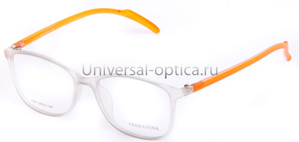Оправа полимерная Froza Viva 1021 col. 23 от Торгового дома Универсал || universal-optica.ru
