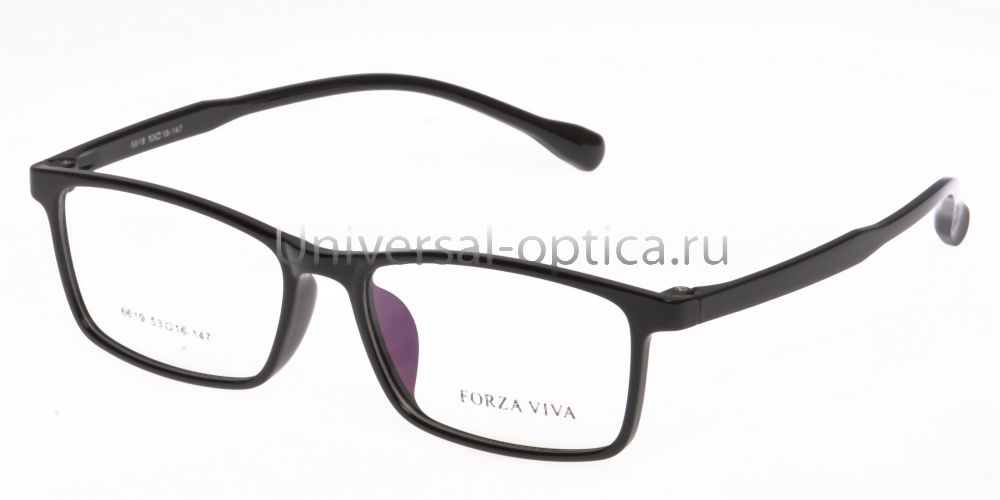 Оправа полимерная Forza Viva 6619 c.11 от Торгового дома Универсал || universal-optica.ru