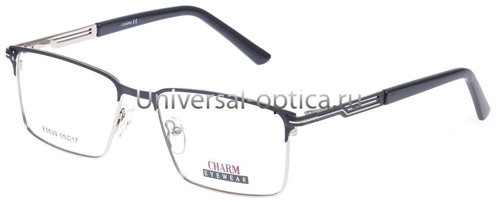Оправа металлическая Charm/Шарм E5539 c. 2 от Торгового дома Универсал || universal-optica.ru