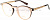 8745 солнцезащитные очки Elite от Торгового дома Универсал || universal-optica.ru