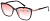 YR21710 очки корригирующие Forza Viva (тонированные) от Торгового дома Универсал || universal-optica.ru